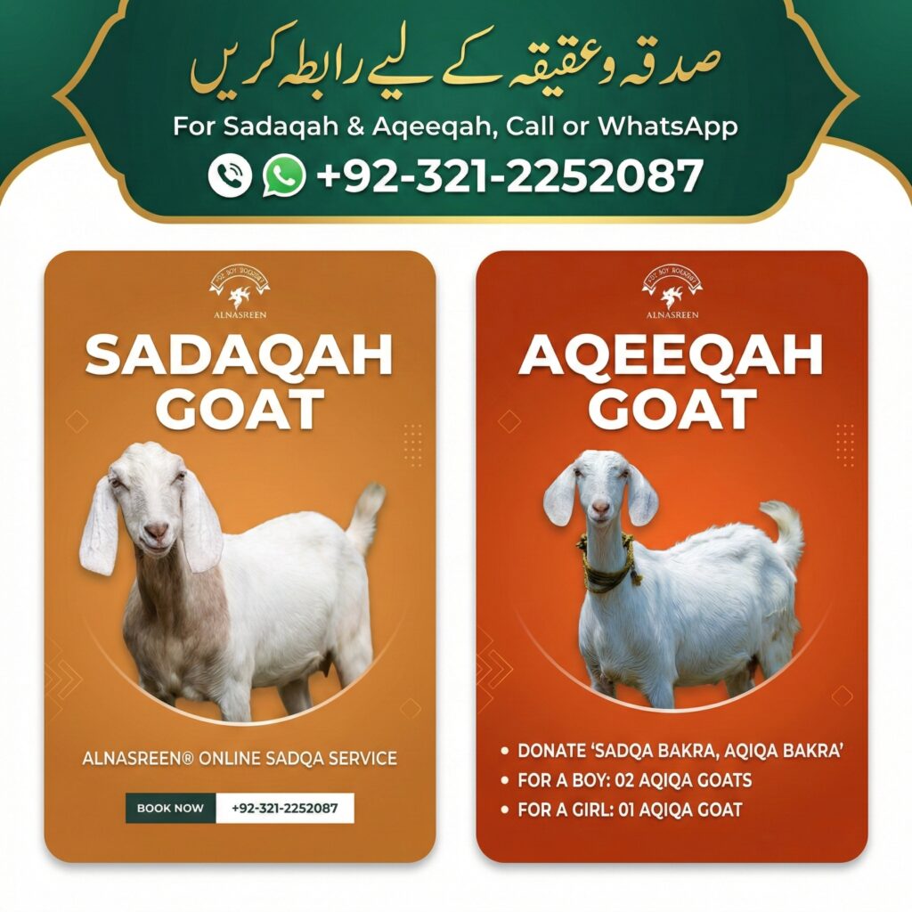 Donate Aqiqah Online Video Proof Service