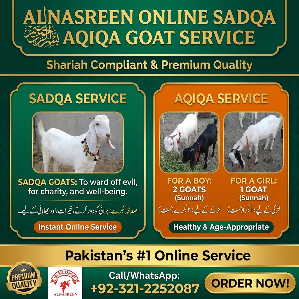 Donate Aqiqah Online Video Proof Service
