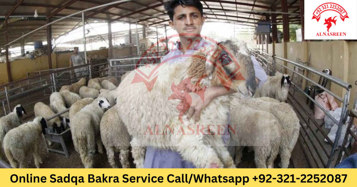 Online Aqiqah Donation in Pakistan | Same-Day, Video Proof
