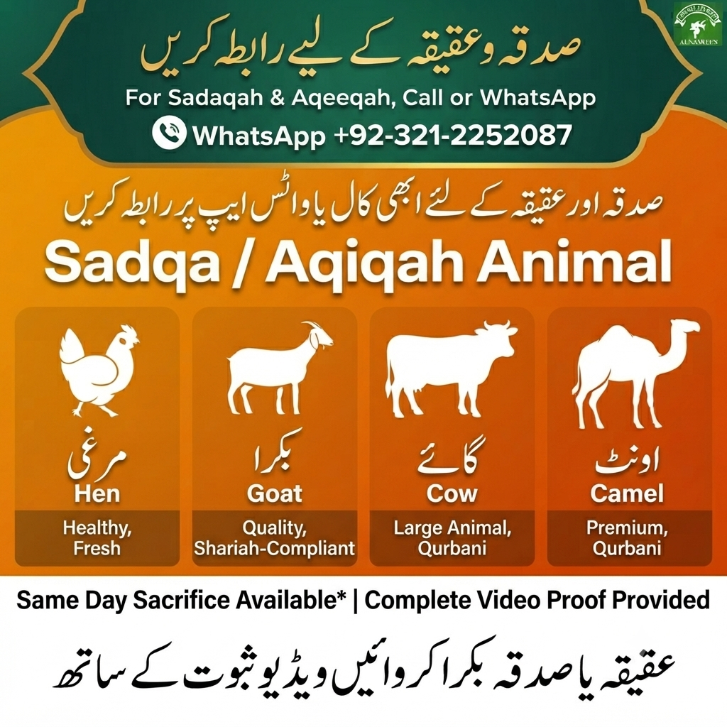 Online Aqiqah Donation | Give Sadaqa Online In Pakistan