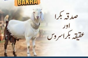 Sadqa Bakra, Sadqa Cow & Aqiqa Bakra