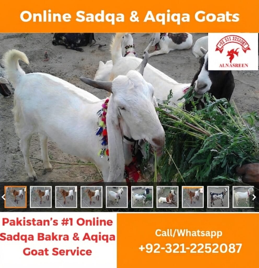 Online Aqiqah Donation In Pakistan