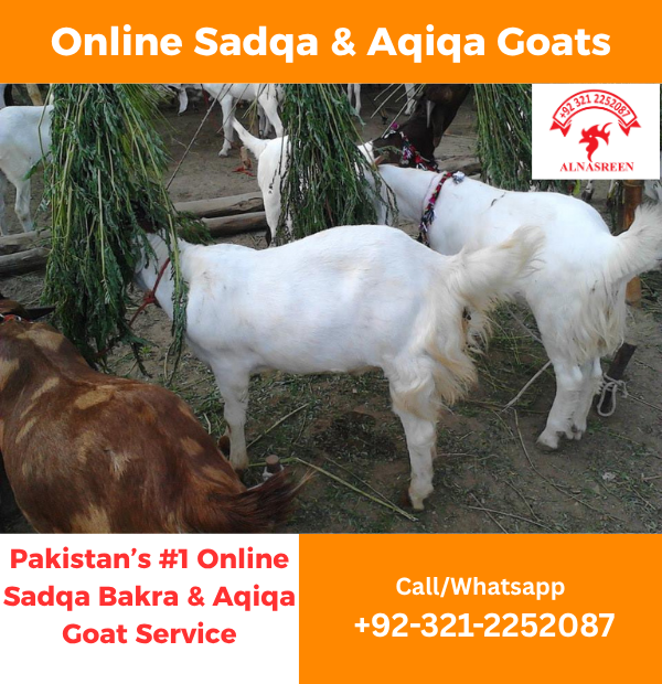 Online Aqiqah Donation In Pakistan
