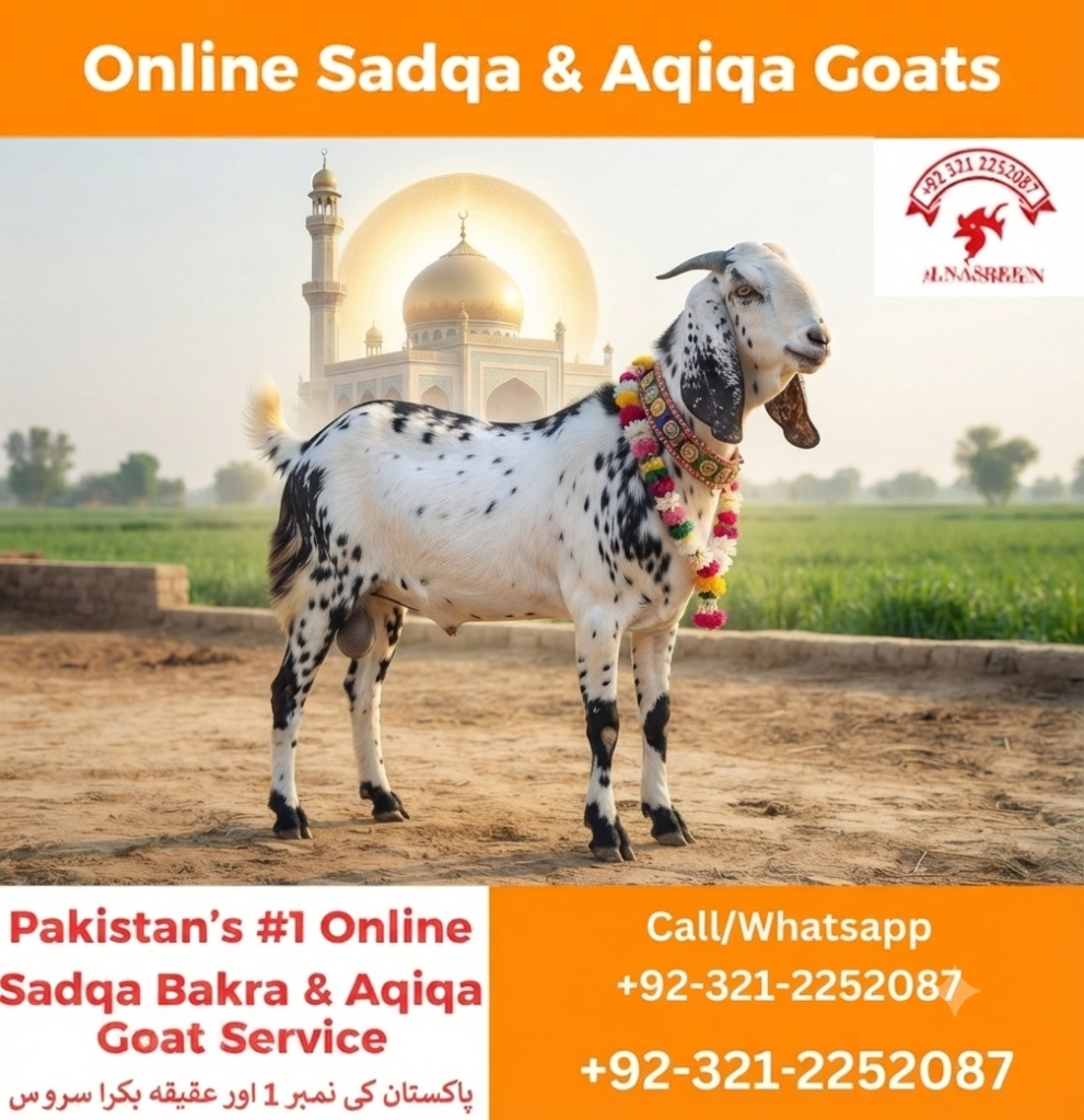 Donate Aqiqah Online in Karachi