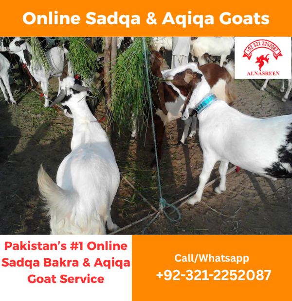 Donate Aqiqah Goat Online