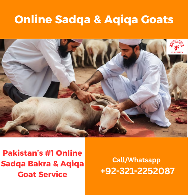Donate Aqiqah Online 2