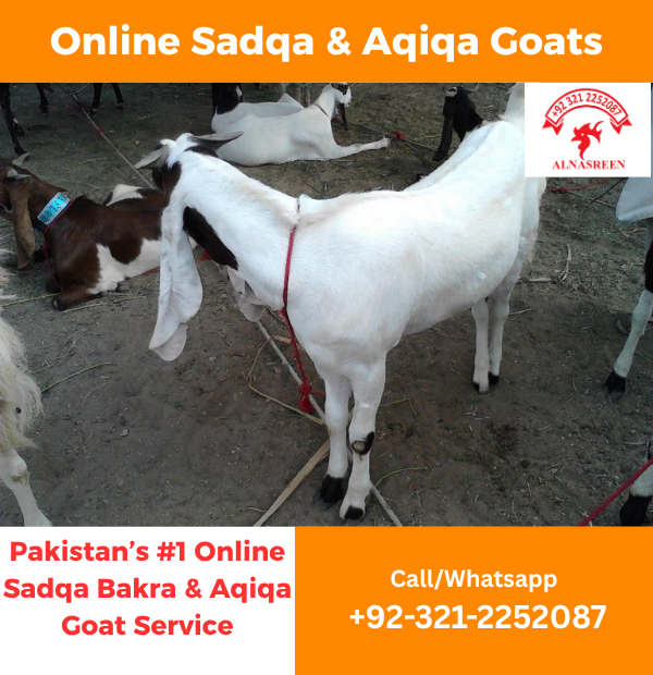 Donate Aqiqah Online Islamic Service
