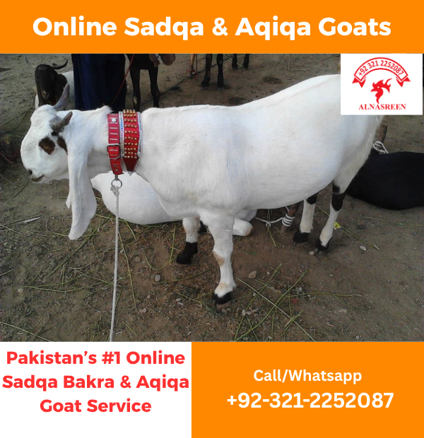 Donate Aqiqah Online Service Pakistan