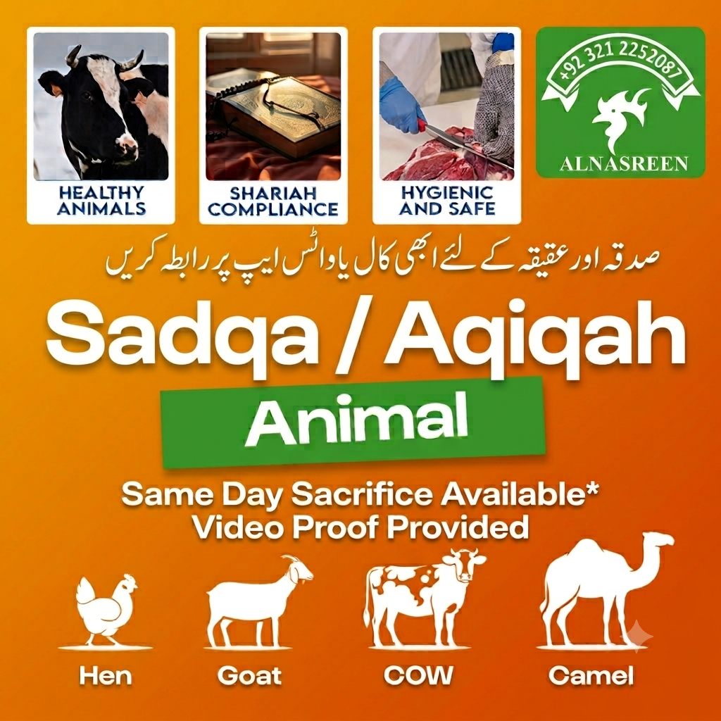 Donate Aqiqah Online from Abroad