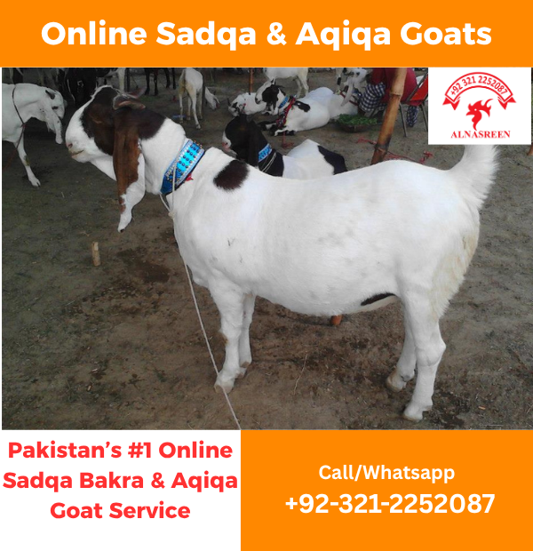 Donate Aqiqah Online from Home