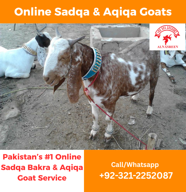 Donate Aqiqah Online in Karachi
