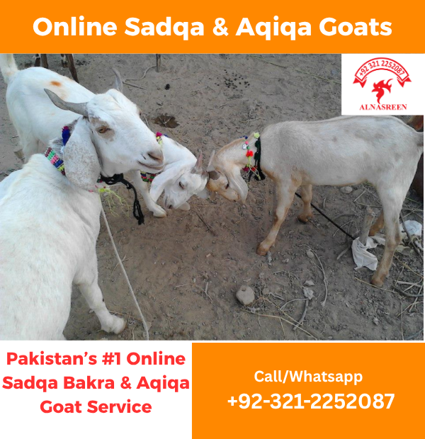 Donate Aqiqah Online in Pakistan for Newborn