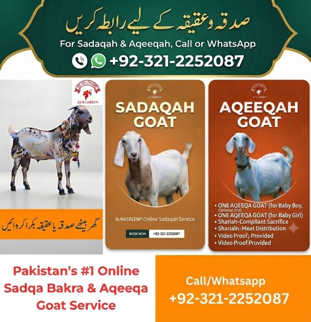 Donate Aqiqah Online with Video Proof