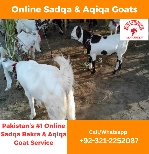 Bakra sadqa Online In Karachi