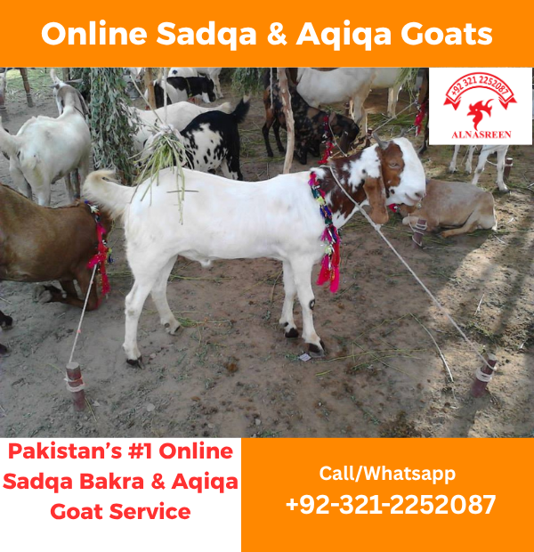 Donate Aqiqah Online in Pakistan