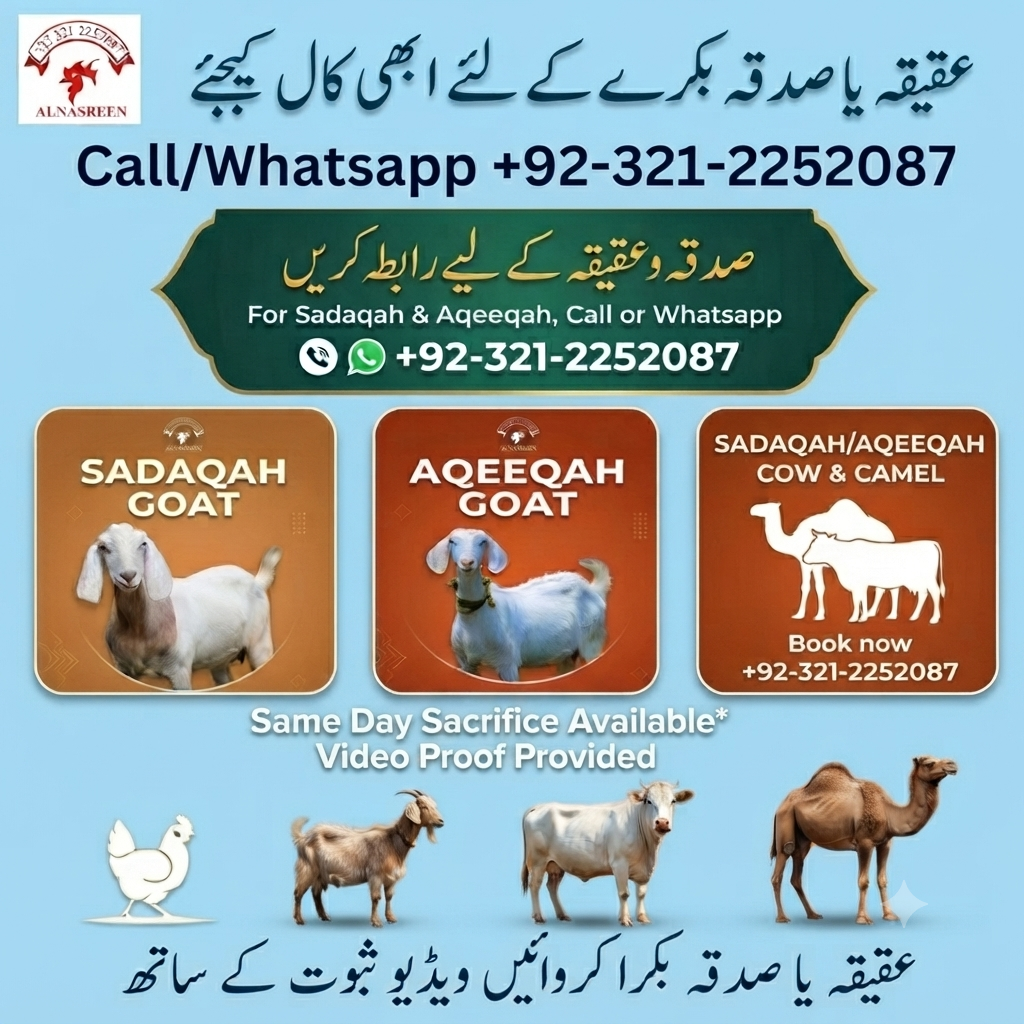 Donate To Best Charity Organizations In Pakistan