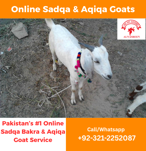 Donate Your Aqiqah Online