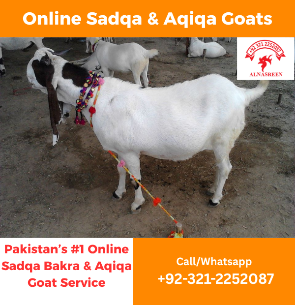 Donate aqiqah online pakistan