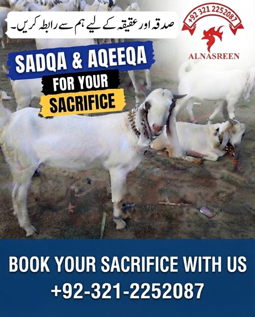 Donate aqiqah Online In Pakistan