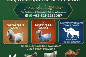 Donate Sadqa aqiqah animal online in pakistan