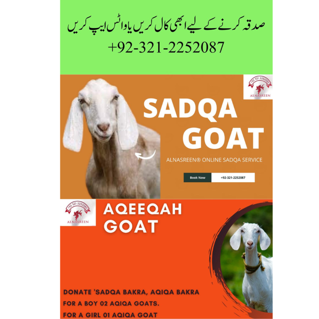 Best Online Aqiqah Service In Pakistan 