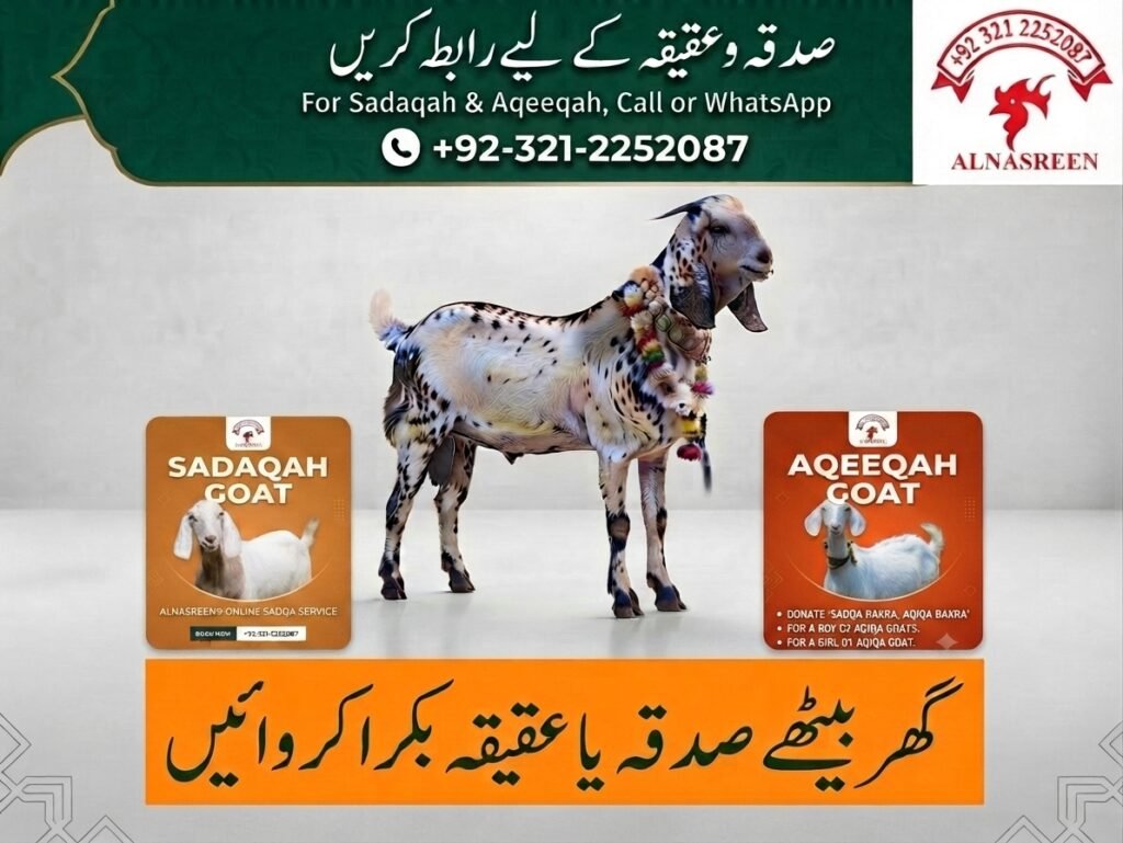 Sadaqah and aqiqah Goat