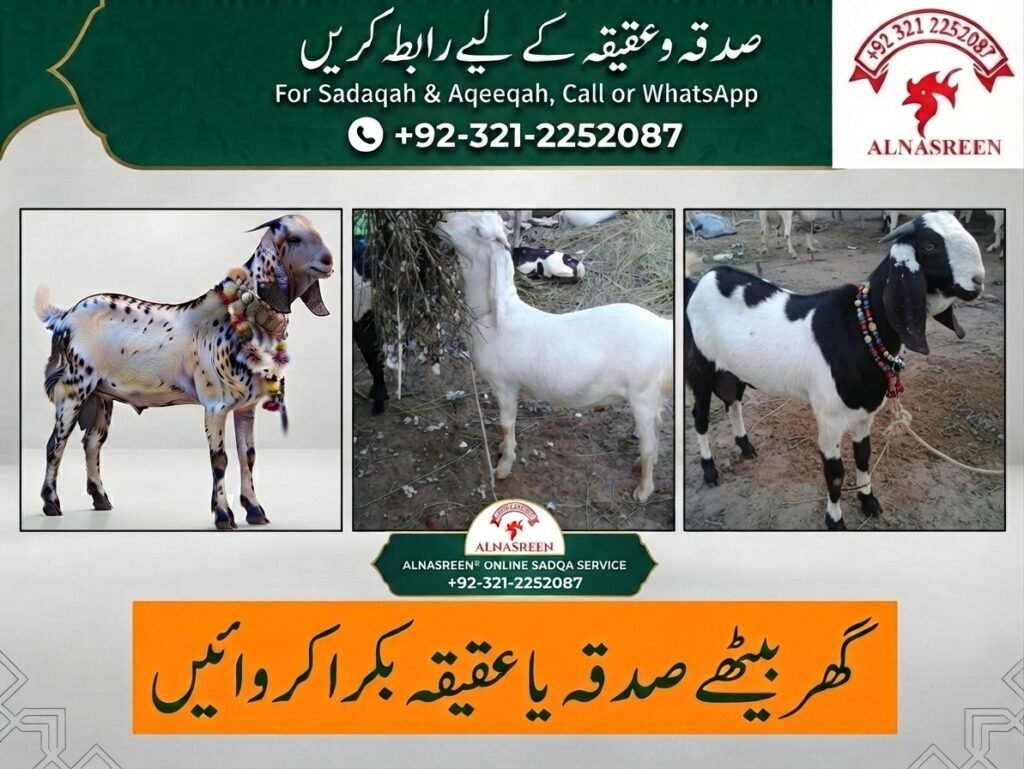 Sadqa Bakra Aqiqa Goat Online Service