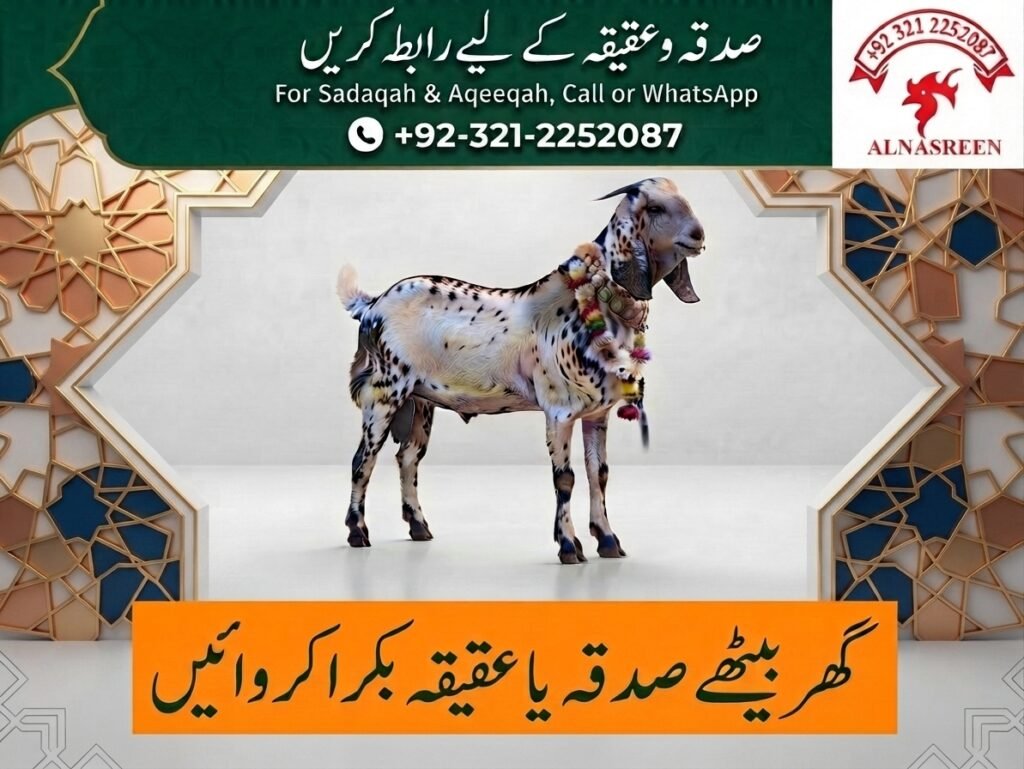 Sadqa Bakra Donation Service
