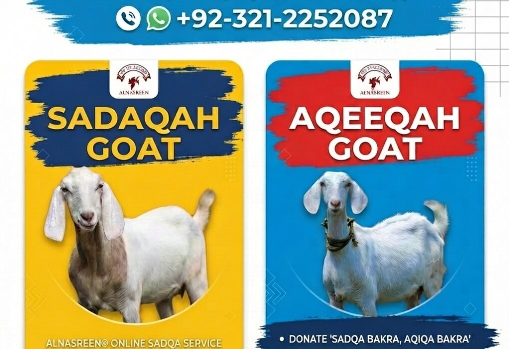 Sadqa Bakra Online in Karachi Sadaqah Sacrifice with Video Proof