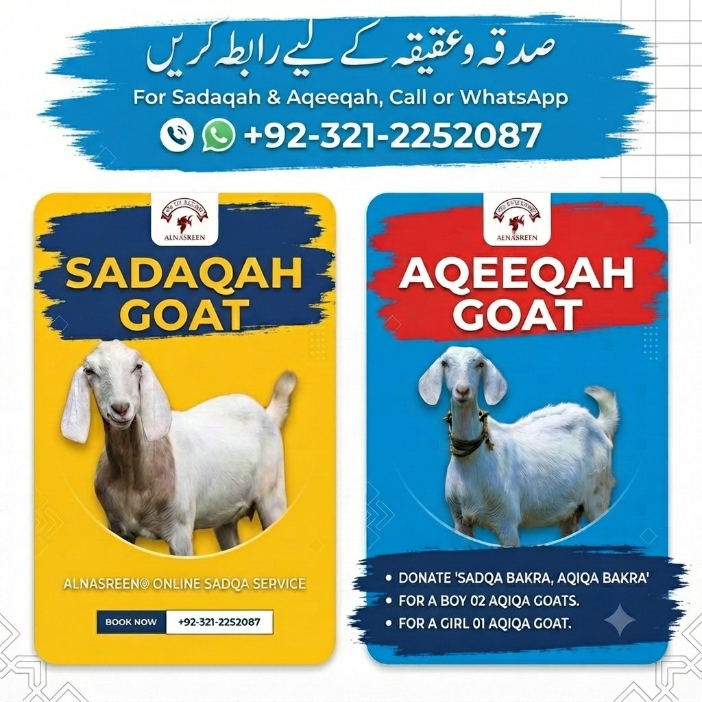 Sadqa Bakra Online in Karachi Sadaqah Sacrifice with Video Proof