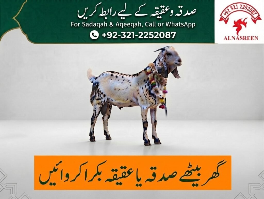 Donate Aqiqah Online in Karachi