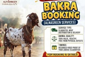 Sadqa Bakra Online In Karachi, Pakistan