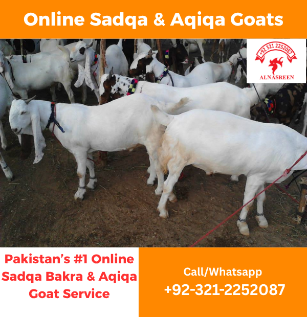 Aqiqah Sacrifice - Aqeeqa Donation