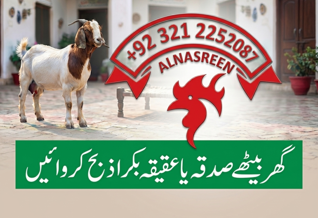 Sadqa Bakra, Bakra Sadqa & Aqiqah Bakra Online