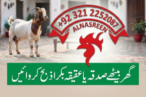Sadqa Bakra, Bakra Sadqa & Aqiqah Bakra Online