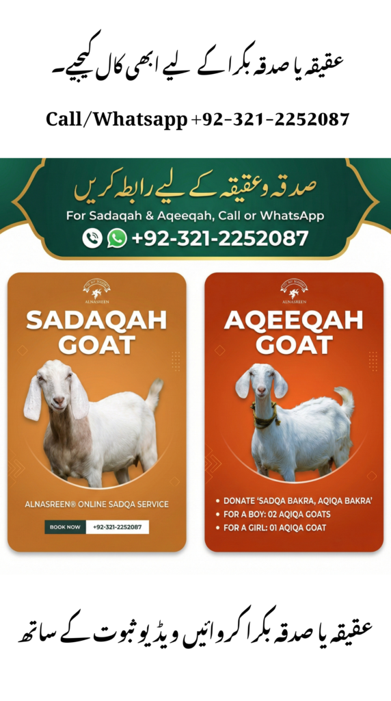 Donate Aqiqah Online 3