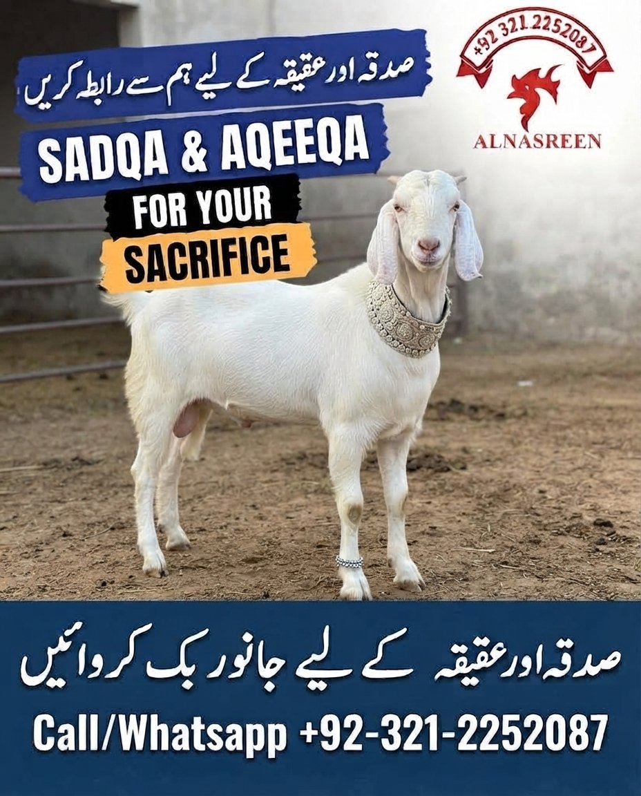 Donate Aqiqah Online in Pakistan | Same-Day, Video Proof