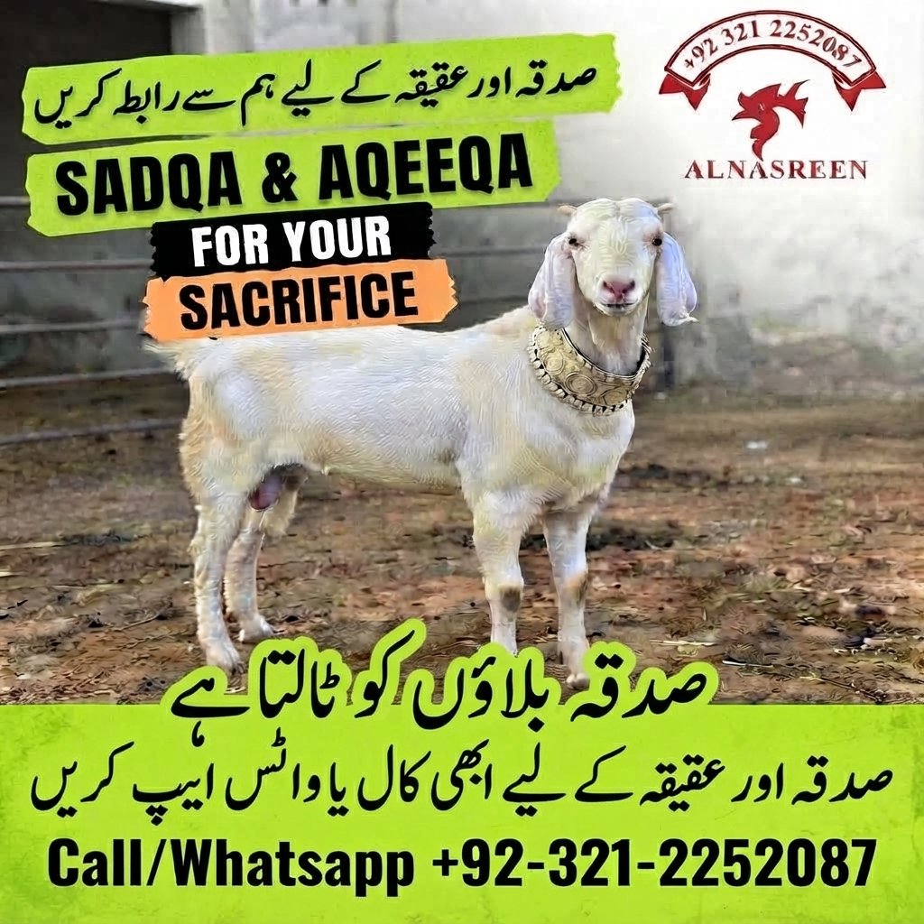 Donate Sadqa Bakra, Aqiqah Bakra Online