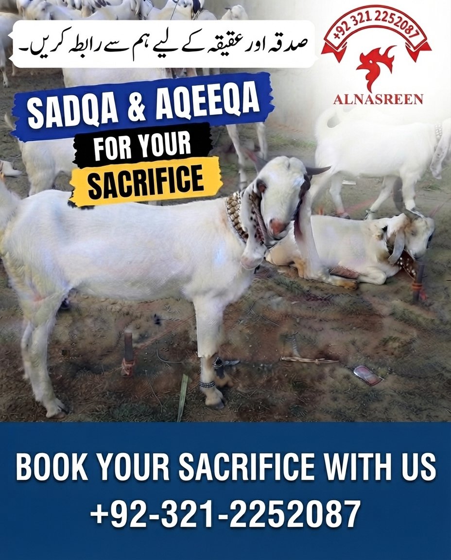 Donate Sadqa Bakra, Sadqa Cow & Aqiqah Bakra