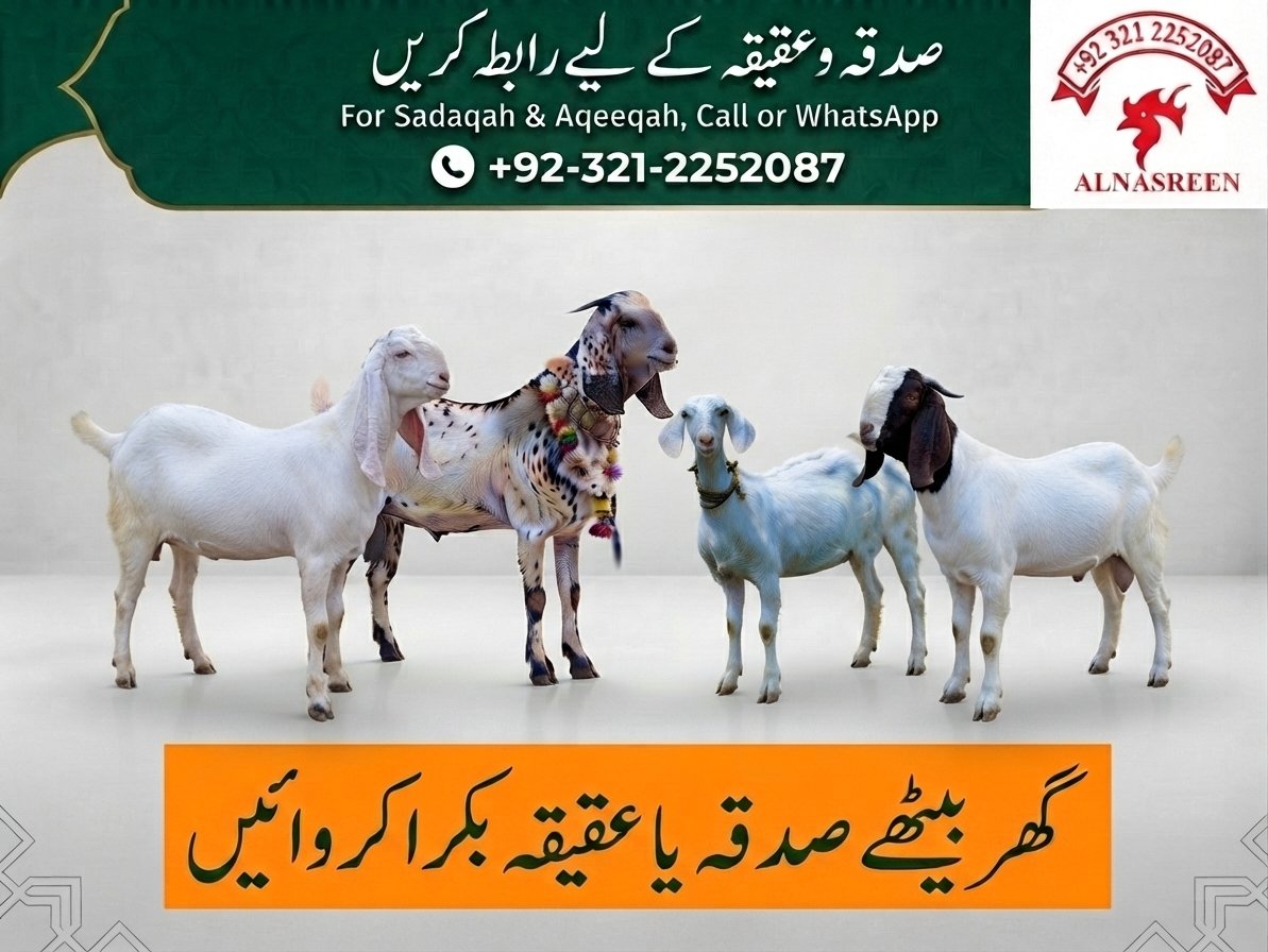 Sadqa Bakra Online – Sadqa & Aqiqah Bakra Service in Pakistan
