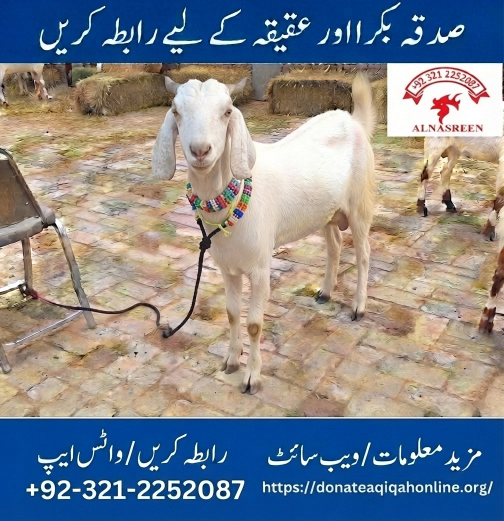 Online Sadqa Bakra Service In Pakistan
