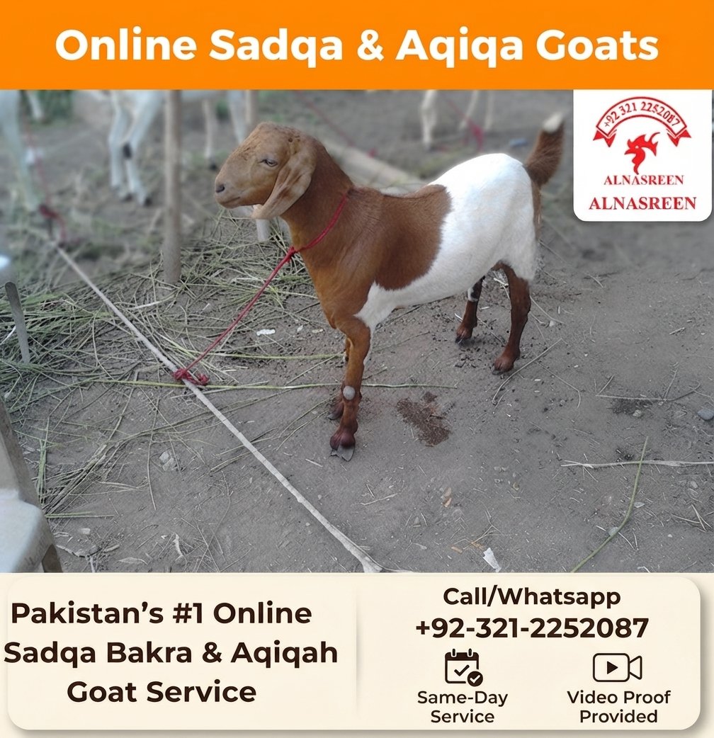 Sadqa Bakra, Aqiqa Bakra, Sadqa Cow, Aqiqa Cow & Sadqa Hen (Murgi) Online