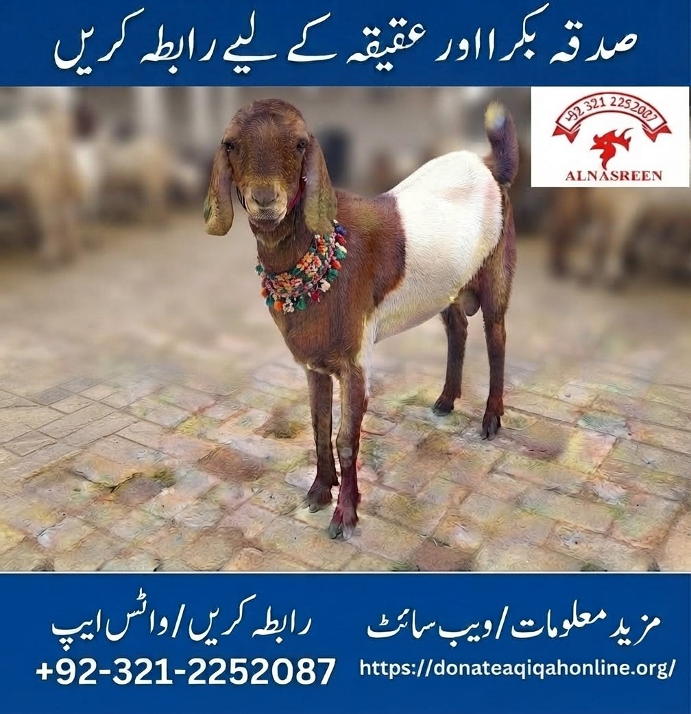 Donate Sadqa Bakra, Sadqa Cow & Aqiqah Bakra